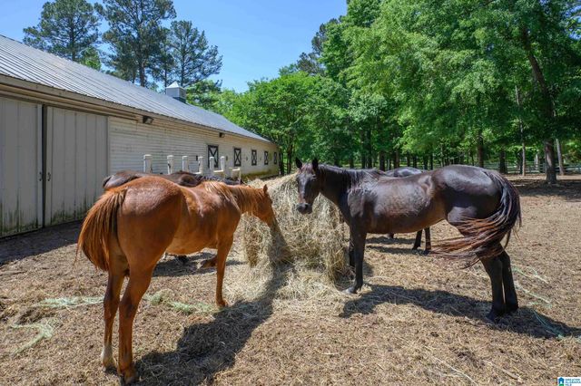 872 PARADISE COVE LANE, Wilsonville, AL 35186