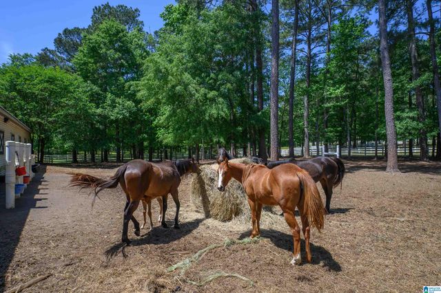 872 PARADISE COVE LANE, Wilsonville, AL 35186