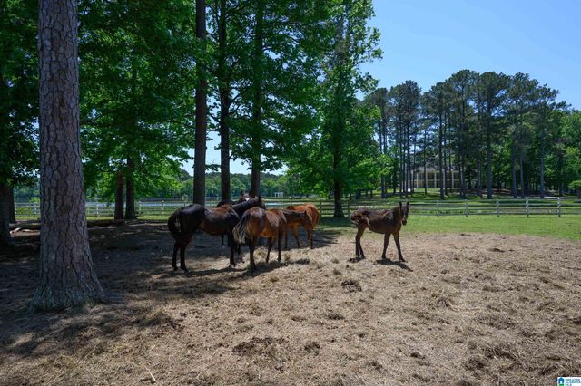 872 PARADISE COVE LANE, Wilsonville, AL 35186
