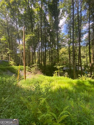 HEMLOCK Hemlock Trail, Blue Ridge, GA 30513