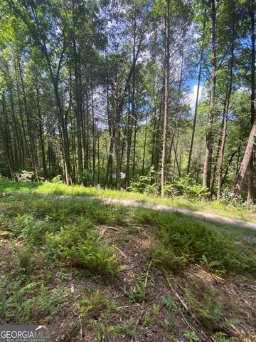 HEMLOCK Hemlock Trail, Blue Ridge, GA 30513
