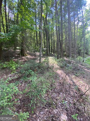 HEMLOCK Hemlock Trail, Blue Ridge, GA 30513