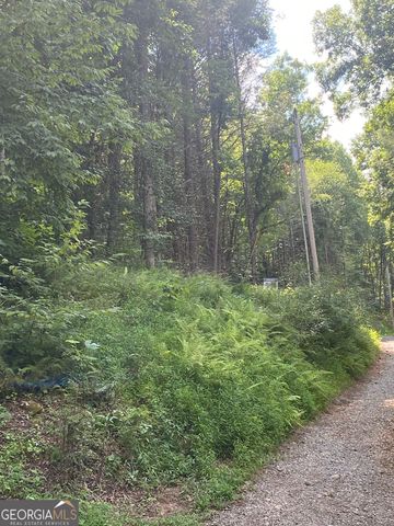 HEMLOCK Hemlock Trail, Blue Ridge, GA 30513