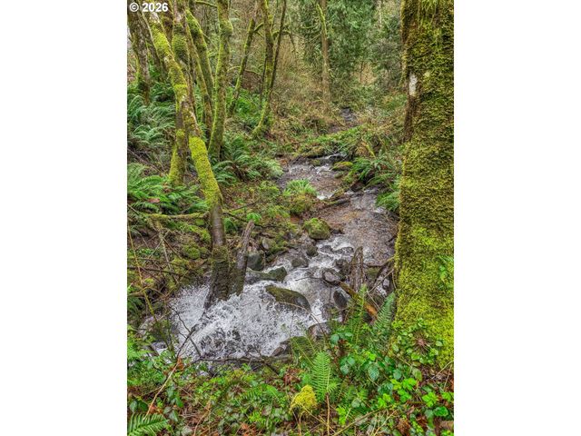 25017 Ne 231ST St, Battle Ground, WA 98604