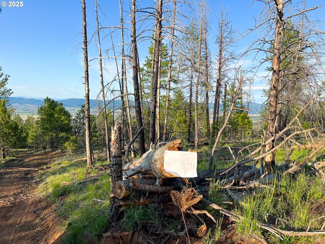 FS Rd 613, John Day, OR 97845
