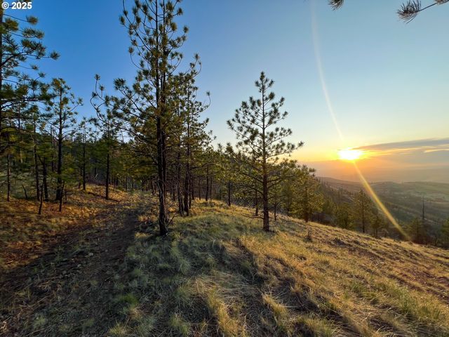 FS Rd 613, John Day, OR 97845