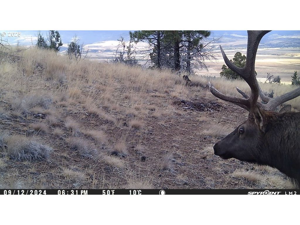 FS Rd 613, John Day, OR 97845