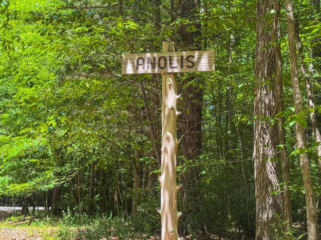 205 Anolis Drive, Pittsboro, NC 27312