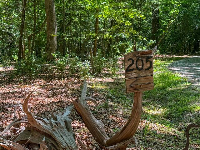 205 Anolis Drive, Pittsboro, NC 27312