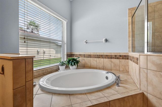 27225 SORA BOULEVARD, Wesley Chapel, FL 33544