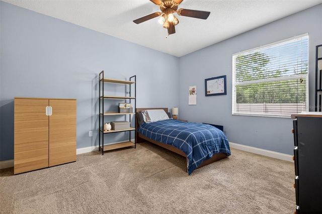 27225 SORA BOULEVARD, Wesley Chapel, FL 33544