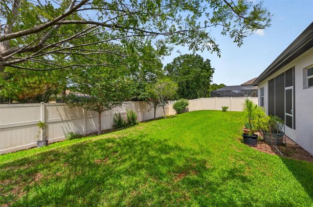 27225 SORA BOULEVARD, Wesley Chapel, FL 33544
