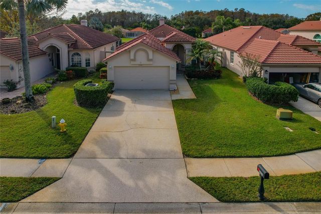 1350 DARTFORD DRIVE, Tarpon Springs, FL 34688