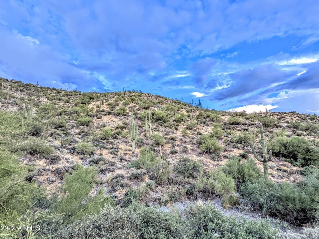 41197 N Longhorn Drive 11, Scottsdale, AZ 85262 — photo 4