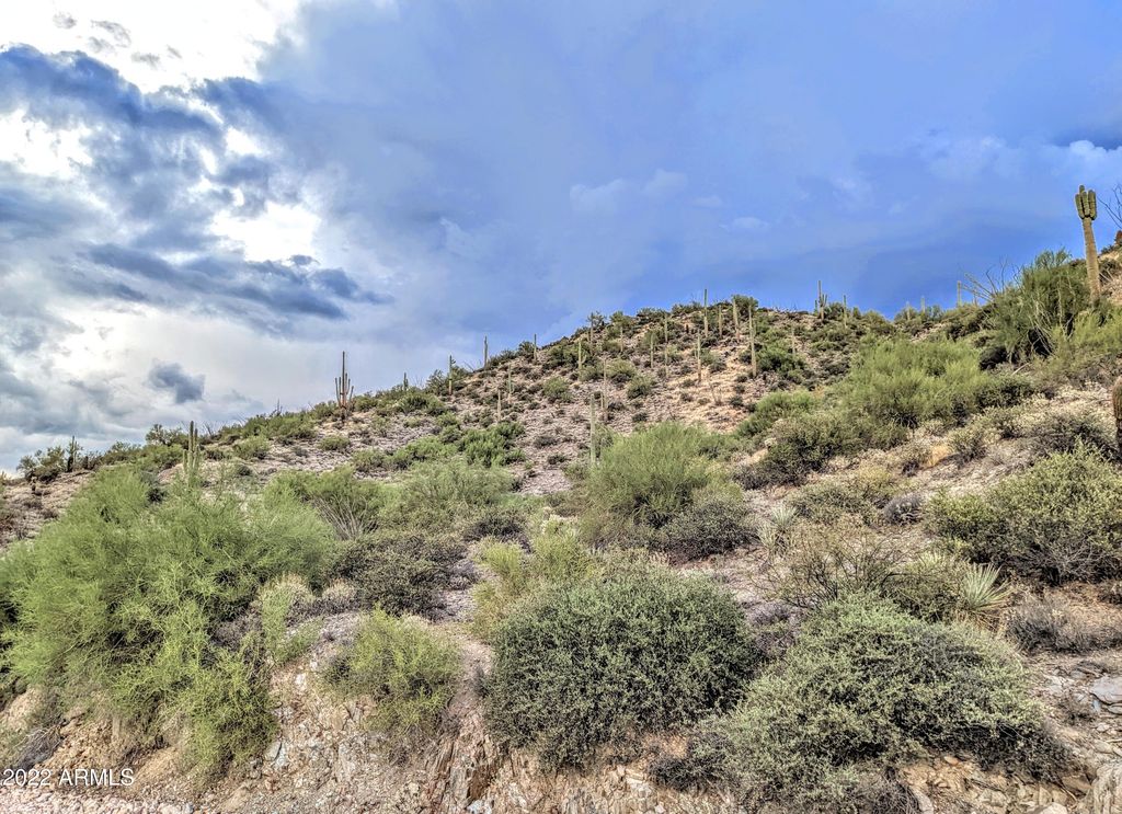 41197 N Longhorn Drive 11, Scottsdale, AZ 85262 — photo 5