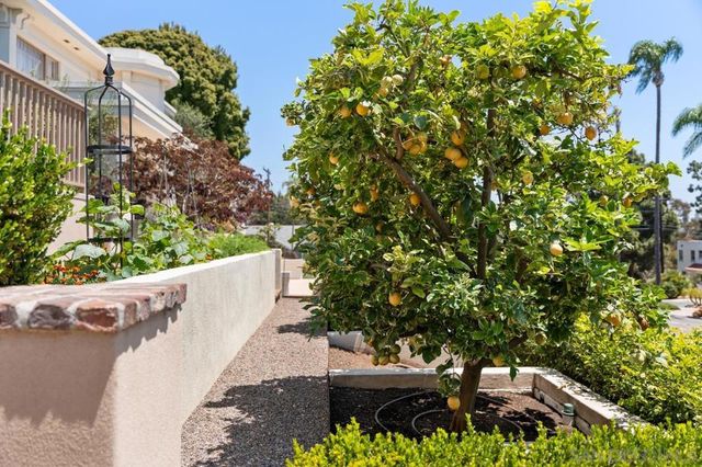 3929 Alameda Dr, San Diego, CA 92103
