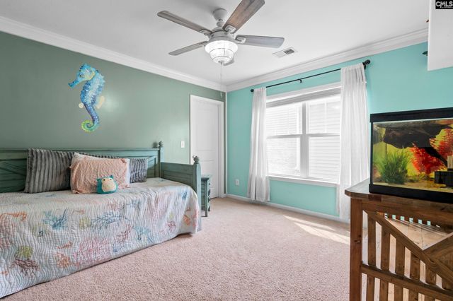 163 Cordage Drive, Chapin, SC 29036