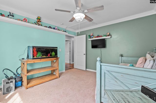 163 Cordage Drive, Chapin, SC 29036
