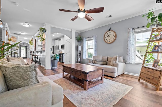 163 Cordage Drive, Chapin, SC 29036