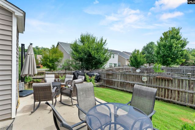 163 Cordage Drive, Chapin, SC 29036