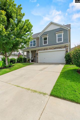 163 Cordage Drive, Chapin, SC 29036