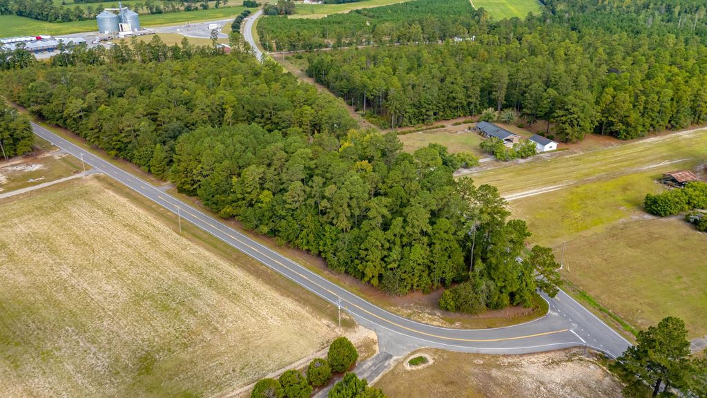 TBD Highway 917, Nichols, SC 29581 — exterior