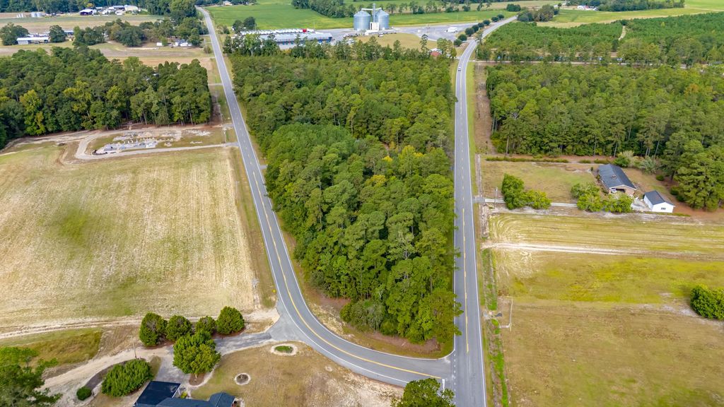TBD Highway 917, Nichols, SC 29581 — photo 2