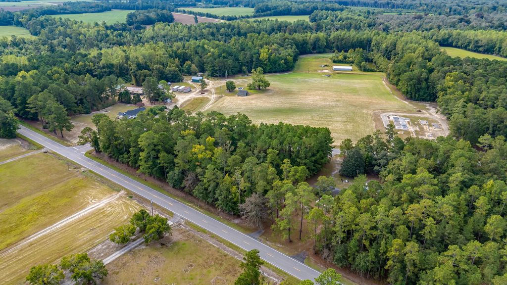 TBD Highway 917, Nichols, SC 29581 — photo 3