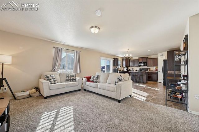 8721 Dry Needle Place, Colorado Springs, CO 80908