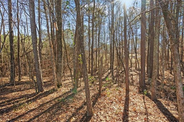 149 Muscadine Way, Carrollton, GA 30116