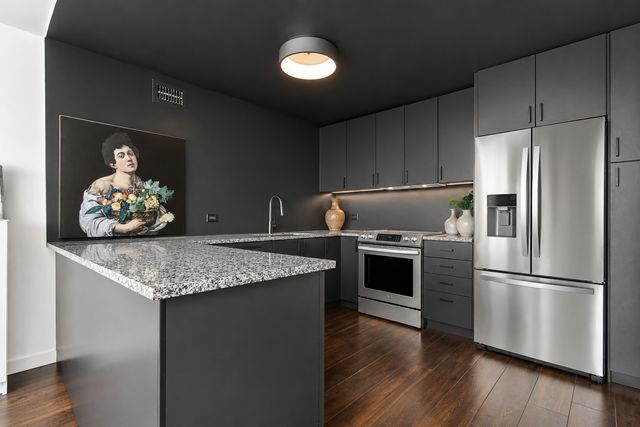 4800 S Chicago Beach Drive 1911S, Chicago, IL 60615