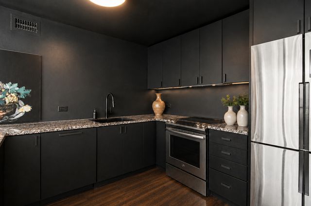 4800 S Chicago Beach Drive 1911S, Chicago, IL 60615