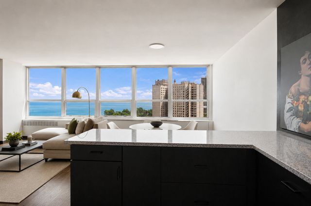 4800 S Chicago Beach Drive 1911S, Chicago, IL 60615