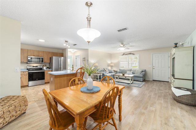 1415 JUAREZ PLACE, Lady Lake, FL 32159