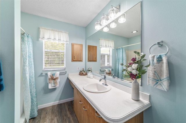 1415 JUAREZ PLACE, Lady Lake, FL 32159