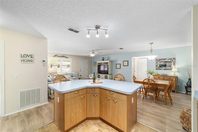 1415 JUAREZ PLACE, Lady Lake, FL 32159