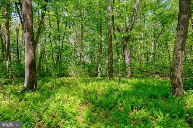3919 EMRICK LN, Jarrettsville, MD 21084