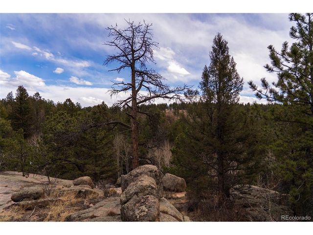 12581 S US Hwy 285, Conifer, CO 80433