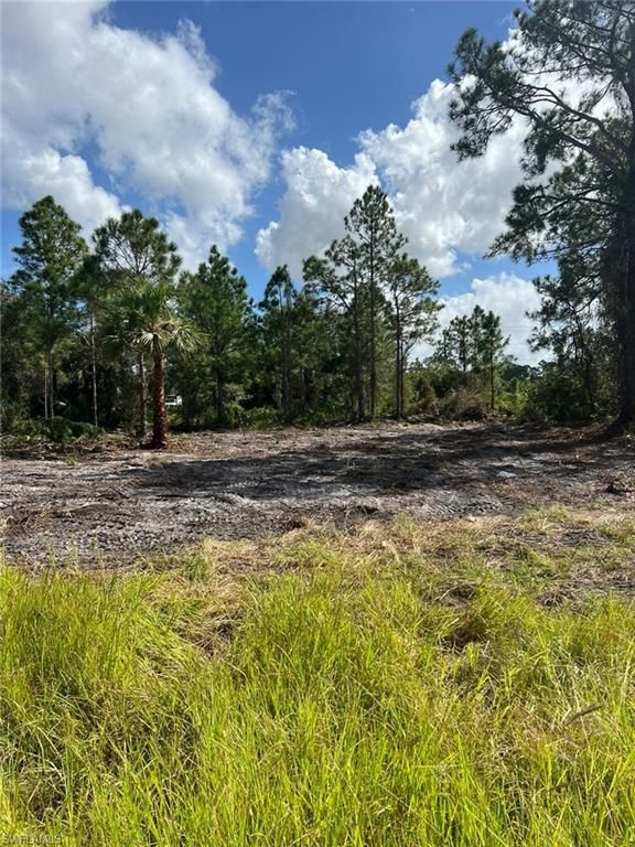 411 Lovers AVE, LEHIGH ACRES, FL 33974 — exterior