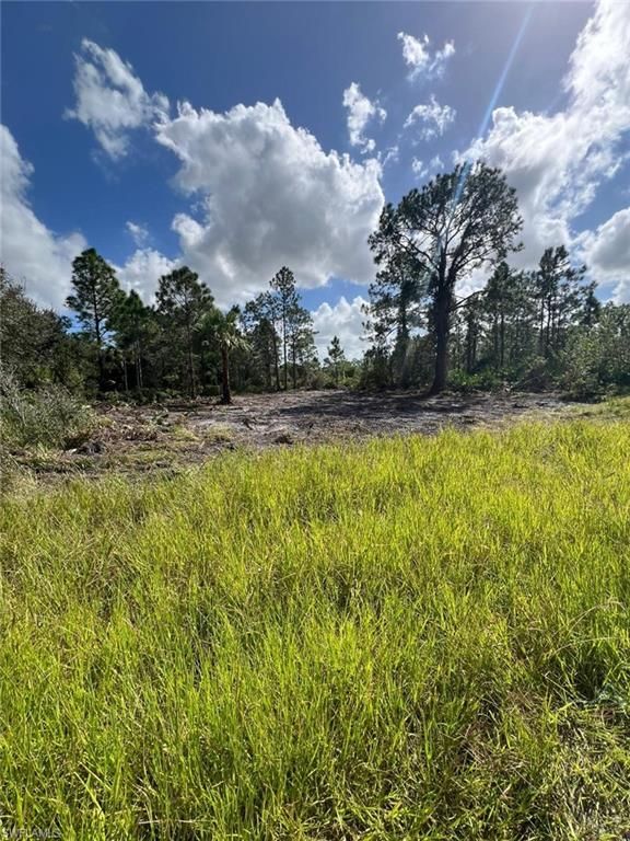 411 Lovers AVE, LEHIGH ACRES, FL 33974 — photo 2