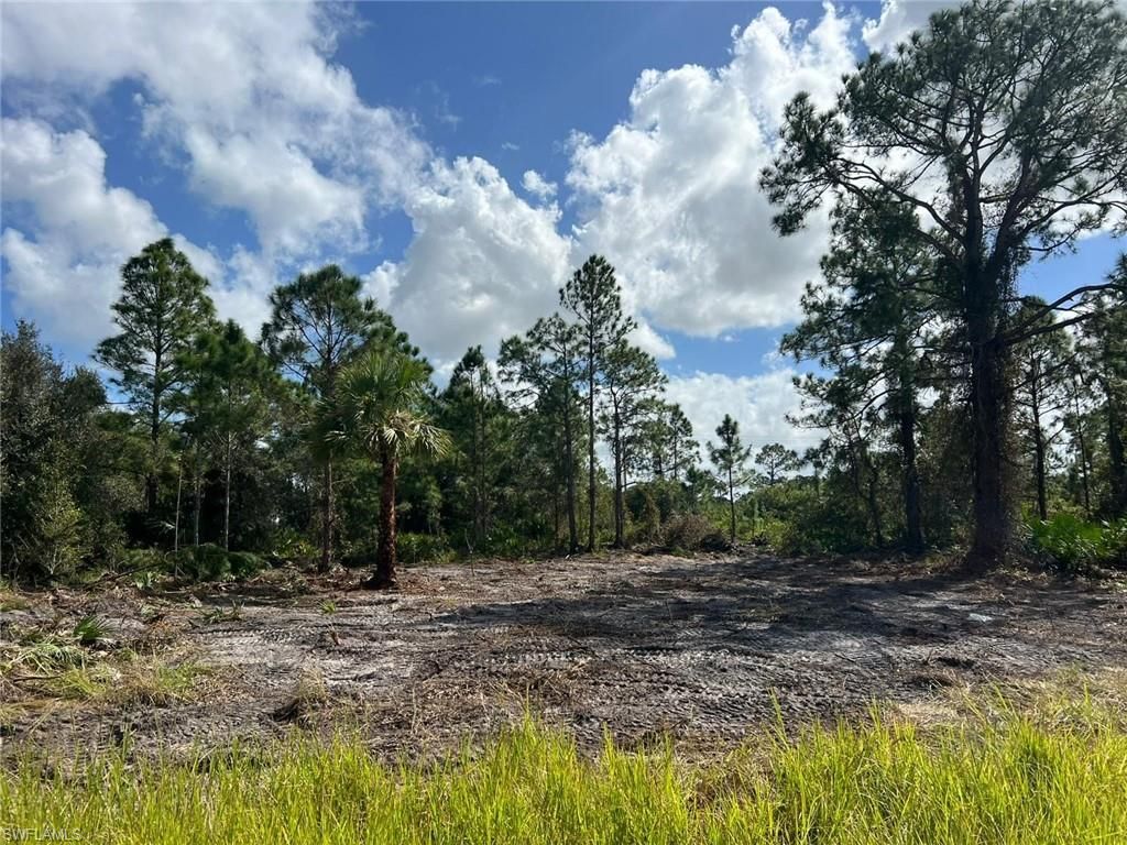 411 Lovers AVE, LEHIGH ACRES, FL 33974 — photo 3