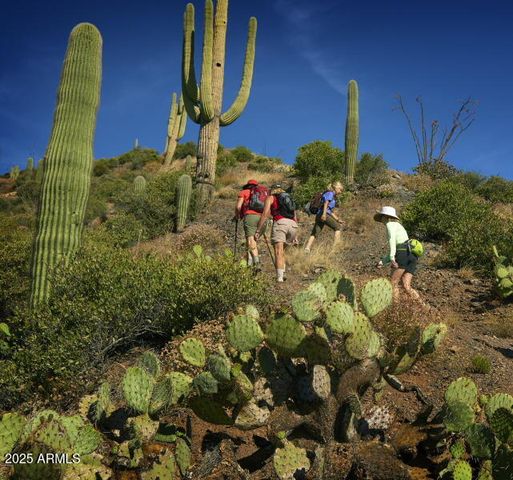 10651 E FERNWOOD Lane, Scottsdale, AZ 85262
