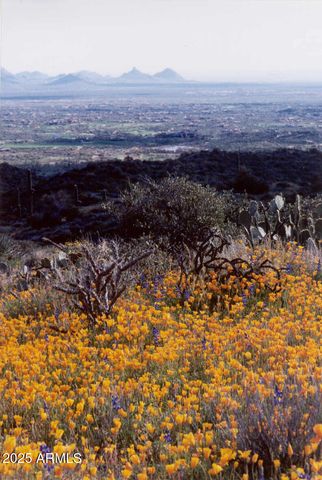 10651 E FERNWOOD Lane, Scottsdale, AZ 85262