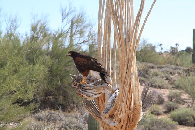 10651 E FERNWOOD Lane, Scottsdale, AZ 85262