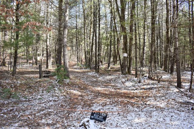 5199 E Marquette Trail, Chase, MI 49623