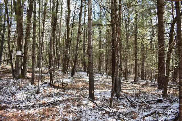 5199 E Marquette Trail, Chase, MI 49623