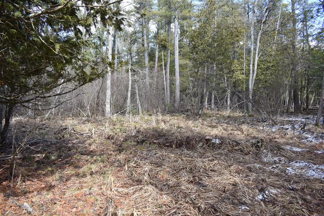 5199 E Marquette Trail, Chase, MI 49623