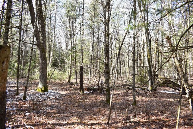 5199 E Marquette Trail, Chase, MI 49623