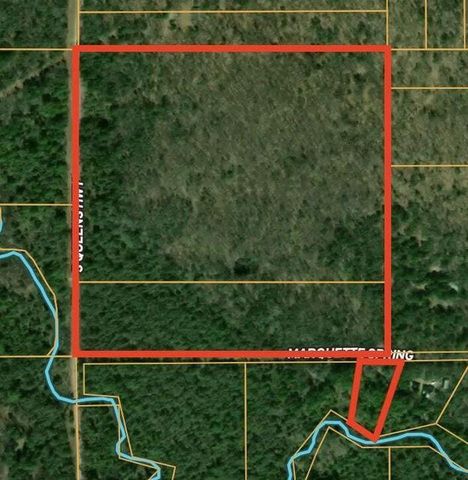 5199 E Marquette Trail, Chase, MI 49623