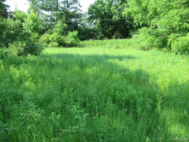 000 S Hadley Road, Update, MI 48348